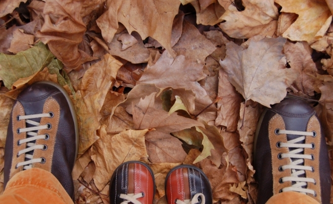 scarpe camper pelotas tra le foglie