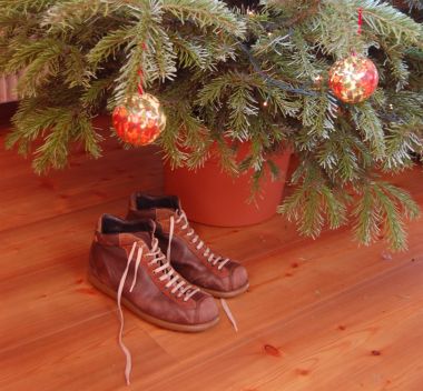 scarpe camper sotto l'albero